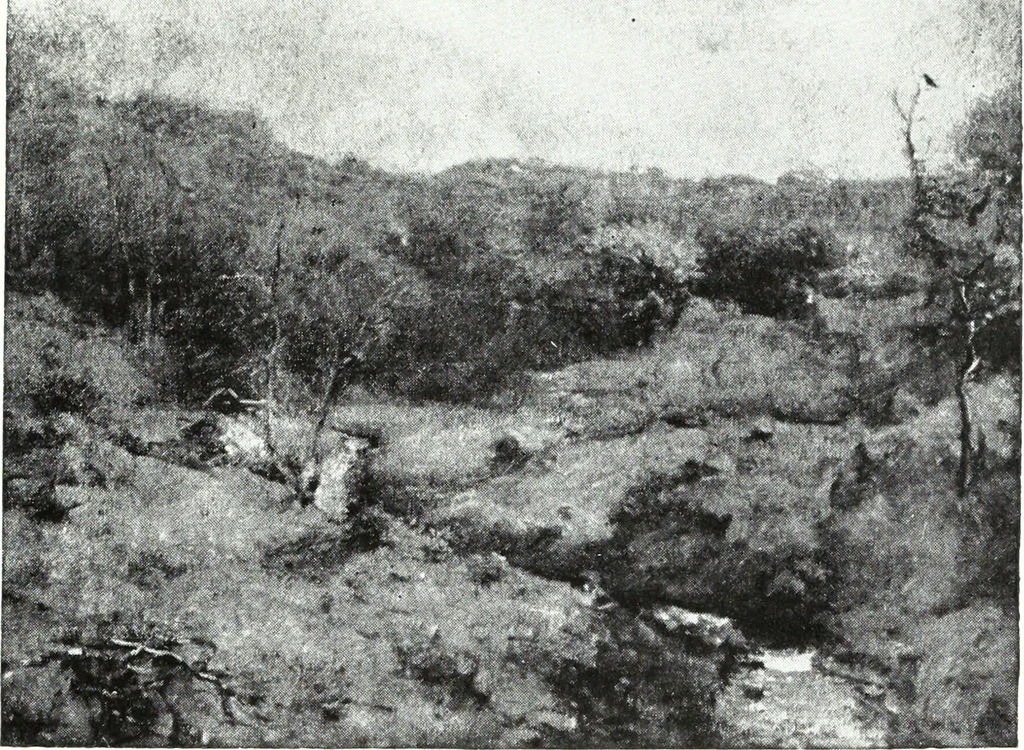 An illustration from American pictures and their painters, 1921, leaf 232