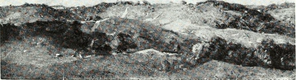 An illustration from American pictures and their painters, 1921, leaf 232
