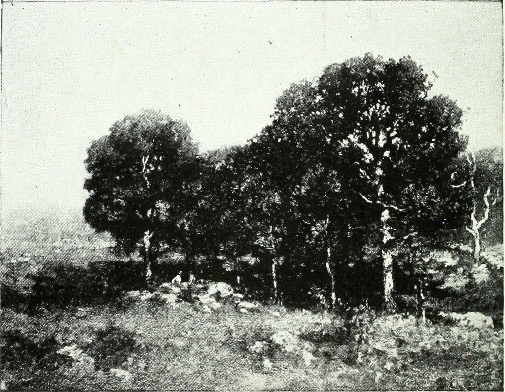 An illustration from American pictures and their painters, 1921, leaf 237