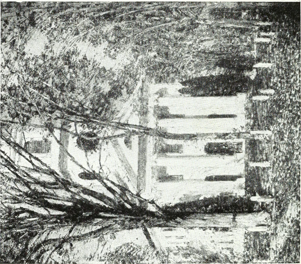 An illustration from American pictures and their painters, 1921, leaf 283