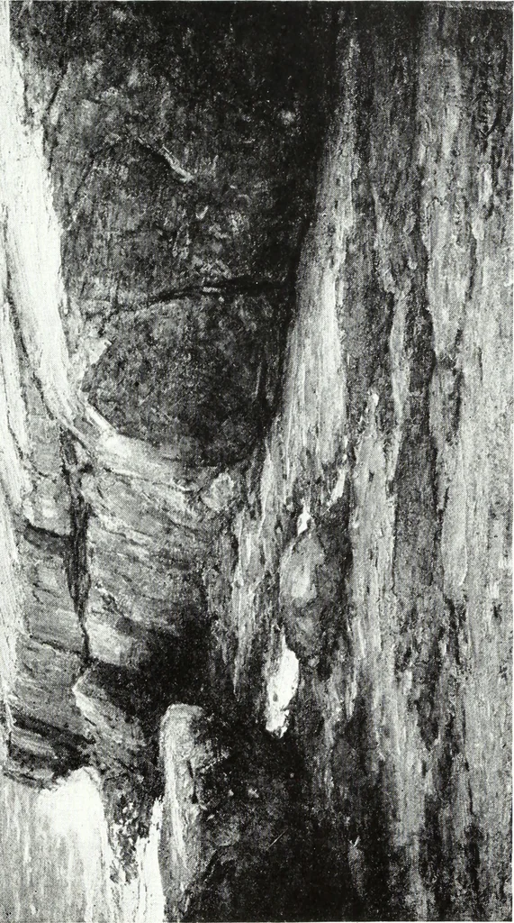 An illustration from American pictures and their painters, 1921, leaf 408