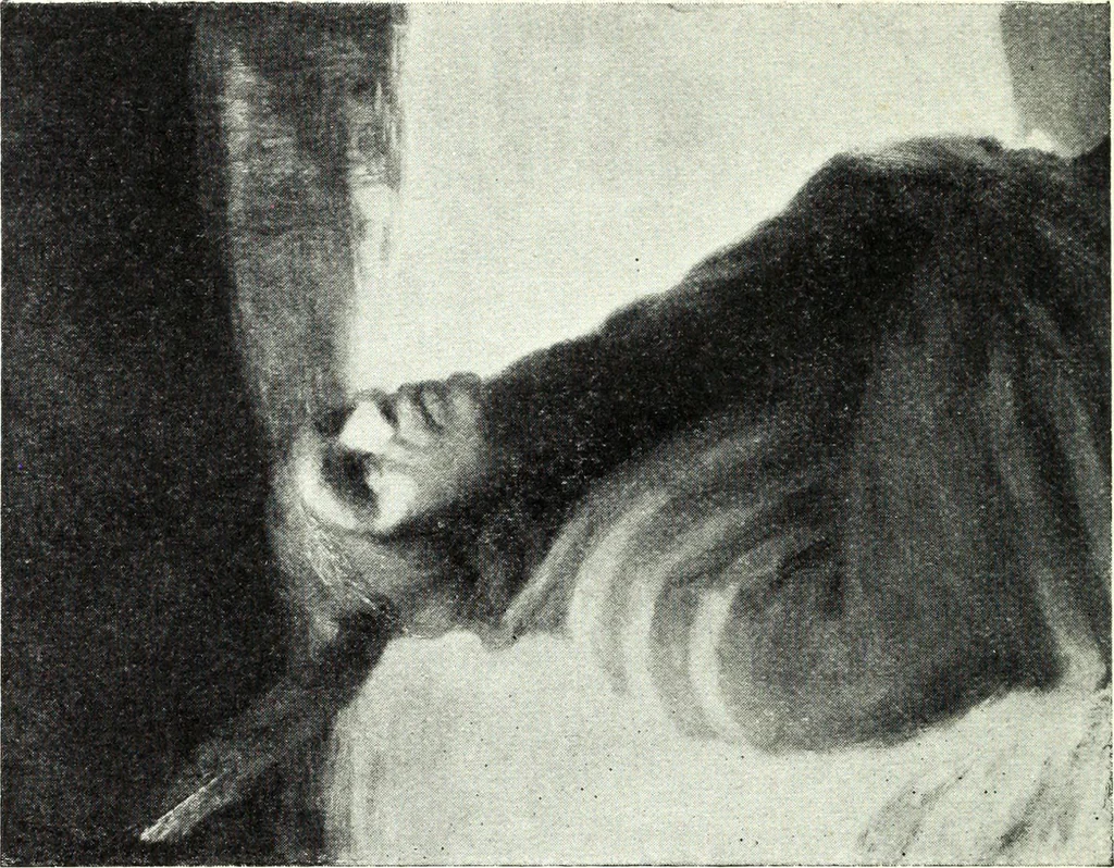 An illustration from American pictures and their painters, 1921, leaf 473