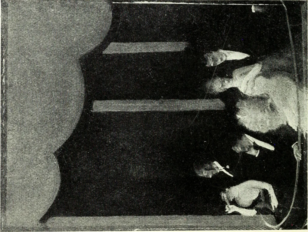An illustration from American pictures and their painters, 1921, leaf 473