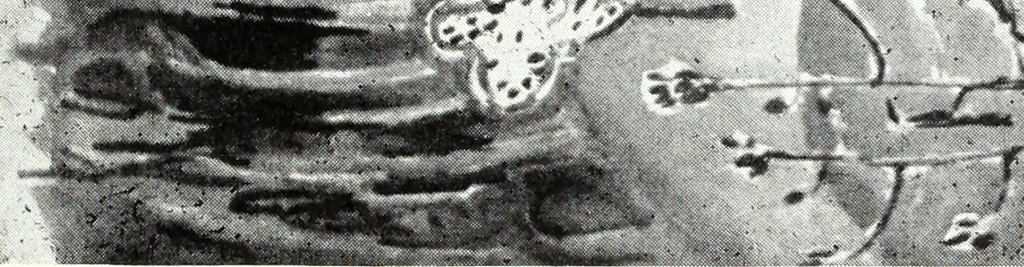 An illustration from American pictures and their painters, 1921, leaf 492