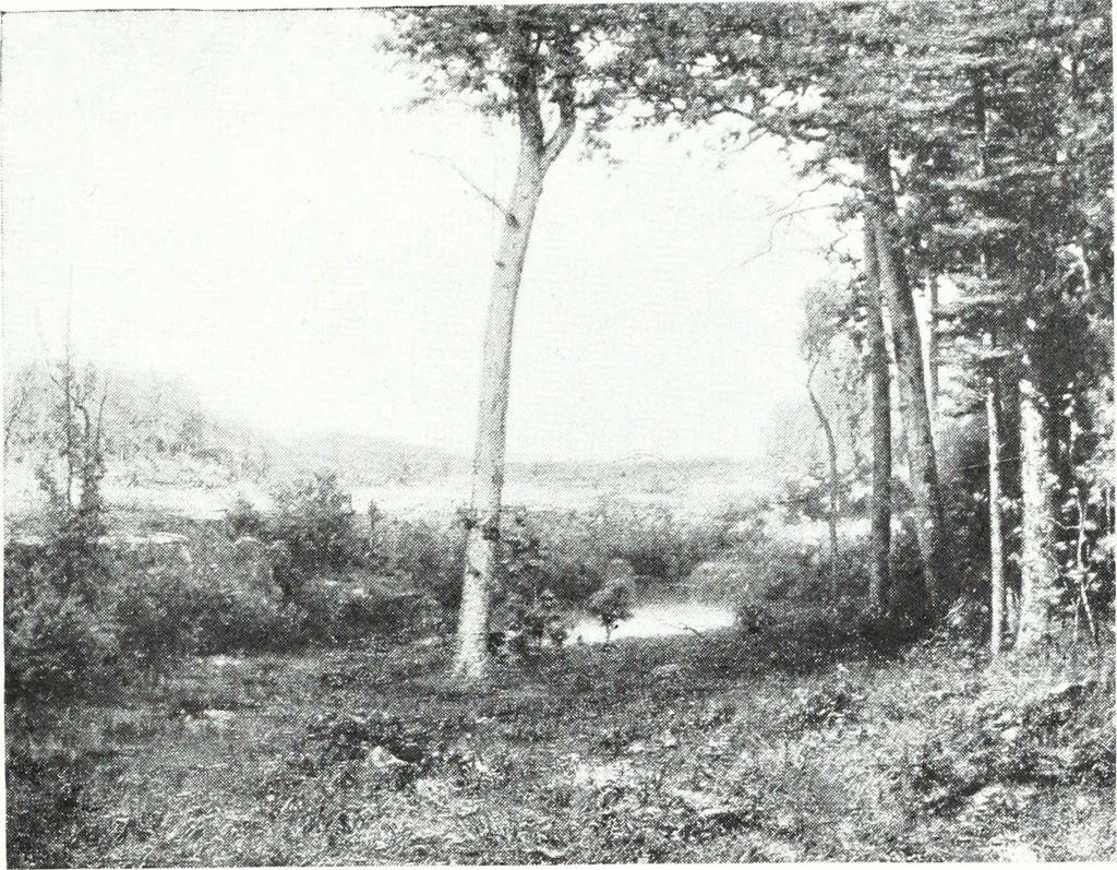 An illustration from American pictures and their painters, 1921, leaf 92