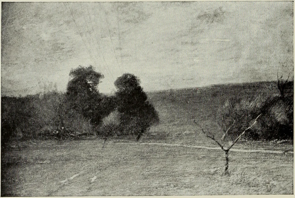 An illustration from American pictures and their painters, 1917, leaf 205