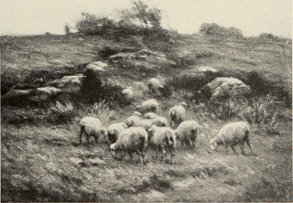 An illustration from American pictures and their painters, 1917, leaf 208