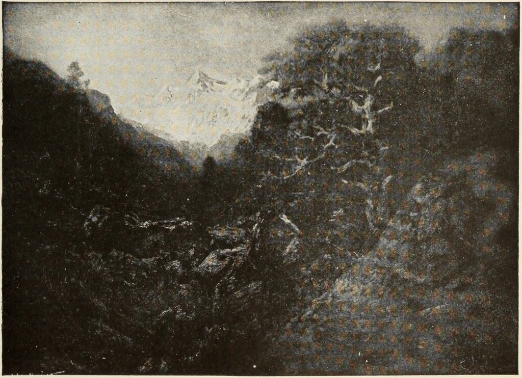 An illustration from American pictures and their painters, 1917, leaf 86