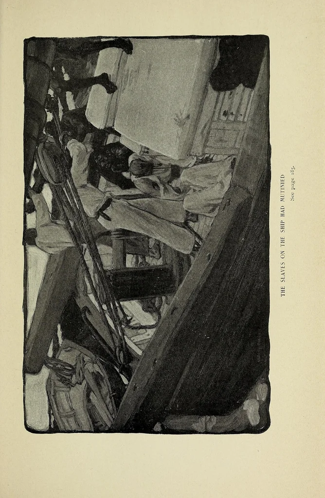 An illustration from The American slave-trade : an account of its origin, growth and suppression, 1900, leaf 239
