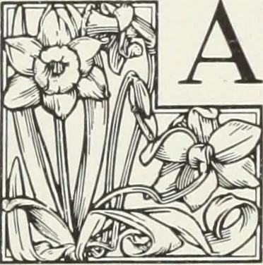 An illustration from American specimen book of type styles : complete catalogue of printing machinery and printing supplies, 1912, 1912, leaf 1153