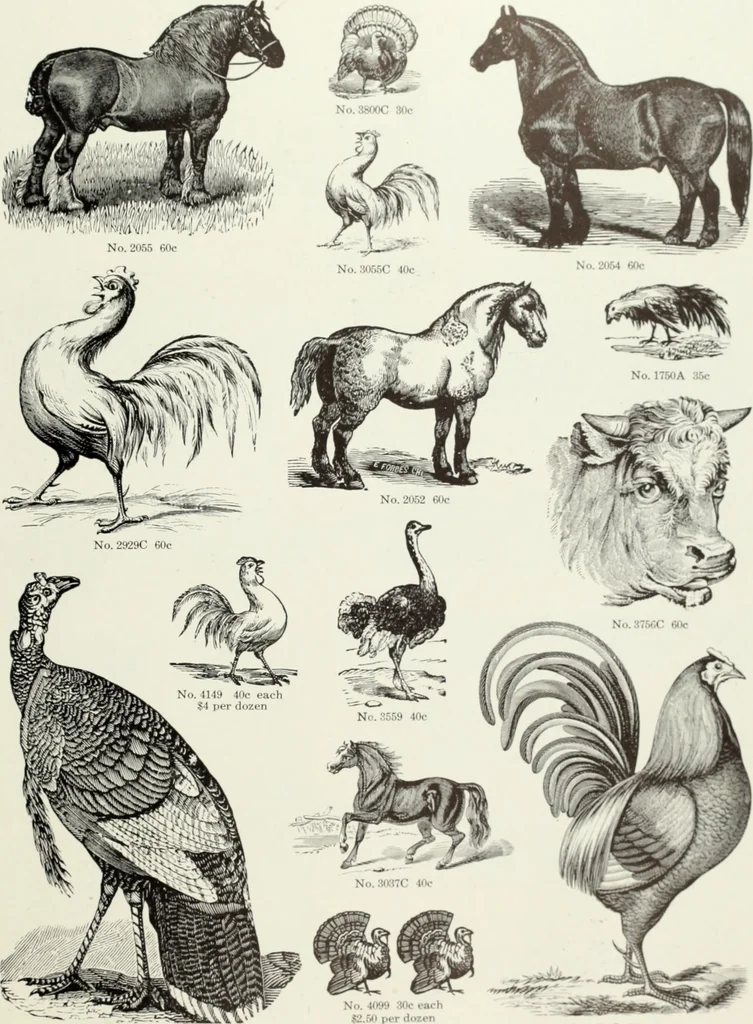 An illustration from American specimen book of type styles : complete catalogue of printing machinery and printing supplies, 1912, 1912, leaf 1164
