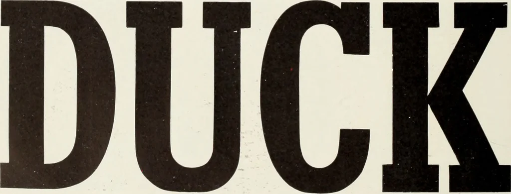 An illustration from American specimen book of type styles : complete catalogue of printing machinery and printing supplies, 1912, 1912, leaf 1169