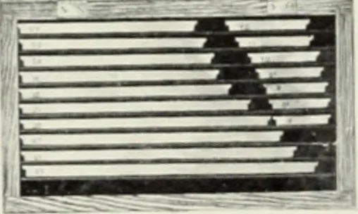 An illustration from American specimen book of type styles : complete catalogue of printing machinery and printing supplies, 1912, 1912, leaf 1234