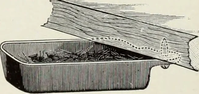 An illustration from American specimen book of type styles : complete catalogue of printing machinery and printing supplies, 1912, 1912, leaf 1235