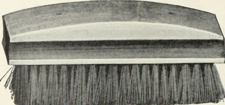 An illustration from American specimen book of type styles : complete catalogue of printing machinery and printing supplies, 1912, 1912, leaf 1247