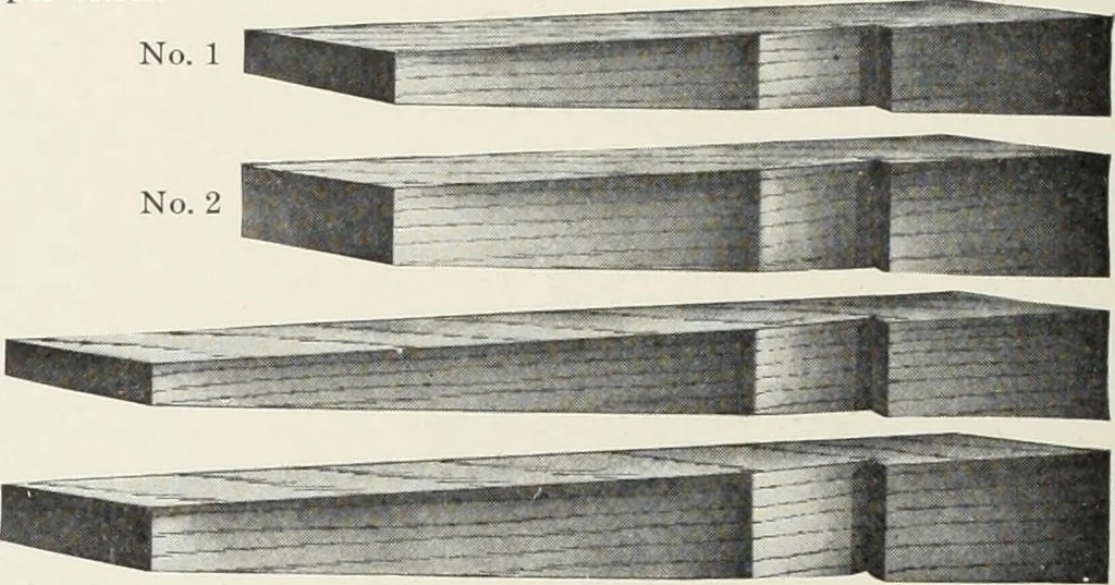 An illustration from American specimen book of type styles : complete catalogue of printing machinery and printing supplies, 1912, 1912, leaf 1249