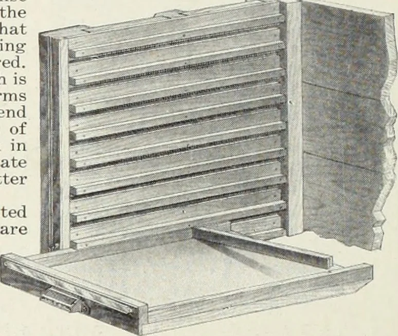 An illustration from American specimen book of type styles : complete catalogue of printing machinery and printing supplies, 1912, 1912, leaf 1281
