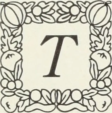An illustration from American specimen book of type styles : complete catalogue of printing machinery and printing supplies, 1912, 1912, leaf 251