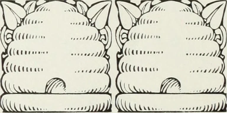 An illustration from American specimen book of type styles : complete catalogue of printing machinery and printing supplies, 1912, 1912, leaf 297