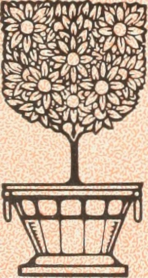 An illustration from American specimen book of type styles : complete catalogue of printing machinery and printing supplies, 1912, 1912, leaf 407