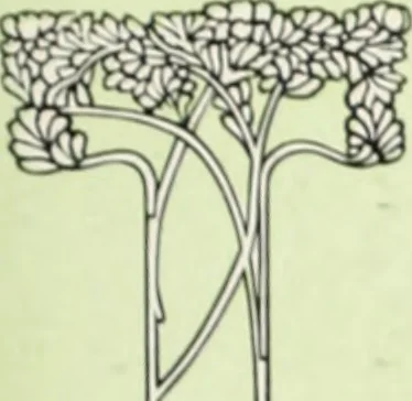An illustration from American specimen book of type styles : complete catalogue of printing machinery and printing supplies, 1912, 1912, leaf 494