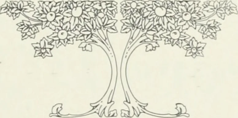 An illustration from American specimen book of type styles : complete catalogue of printing machinery and printing supplies, 1912, 1912, leaf 540
