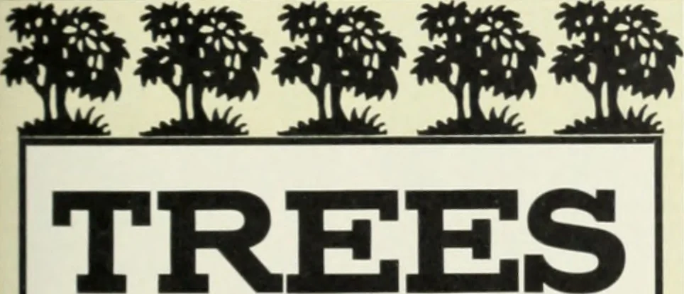 An illustration from American specimen book of type styles : complete catalogue of printing machinery and printing supplies, 1912, 1912, leaf 554