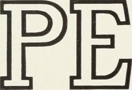 An illustration from American specimen book of type styles : complete catalogue of printing machinery and printing supplies, 1912, 1912, leaf 575