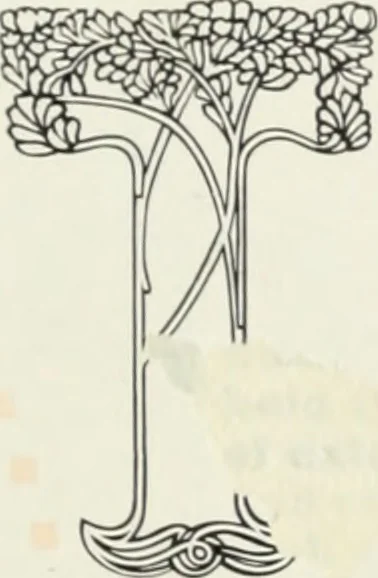 An illustration from American specimen book of type styles : complete catalogue of printing machinery and printing supplies, 1912, 1912, leaf 596