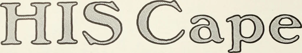 An illustration from American specimen book of type styles : complete catalogue of printing machinery and printing supplies, 1912, 1912, leaf 807