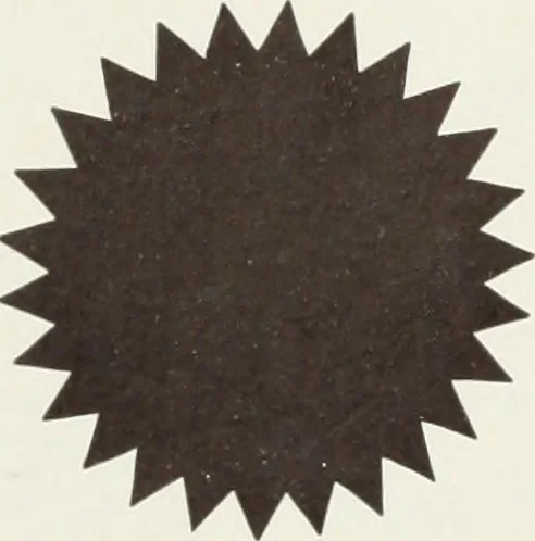 An illustration from American specimen book of type styles : complete catalogue of printing machinery and printing supplies, 1912, 1912, leaf 943