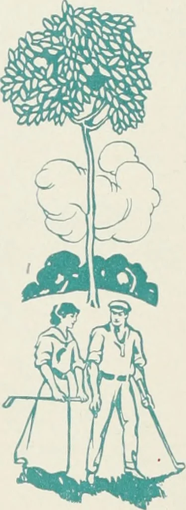 An illustration from American specimen book of type styles : complete catalogue of printing machinery and printing supplies, 1912, 1912, leaf 973