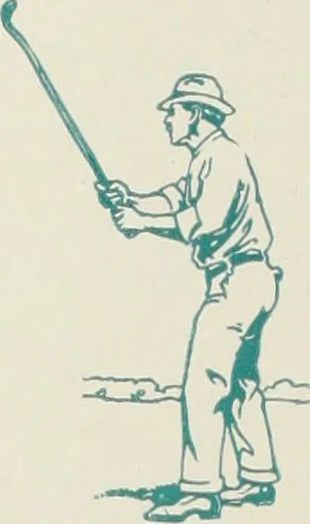 An illustration from American specimen book of type styles : complete catalogue of printing machinery and printing supplies, 1912, 1912, leaf 973