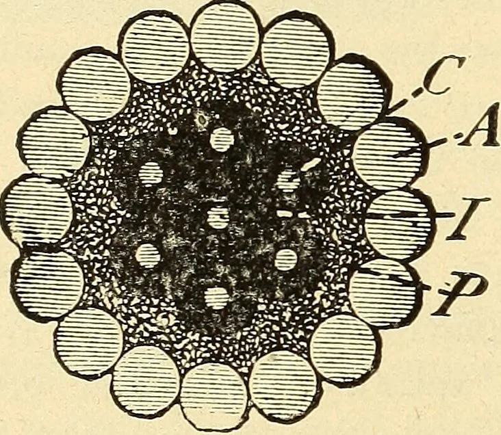An illustration from American telegraphy and encyclopedia of the telegraph; systems, apparatus, operation, 1909, leaf 641