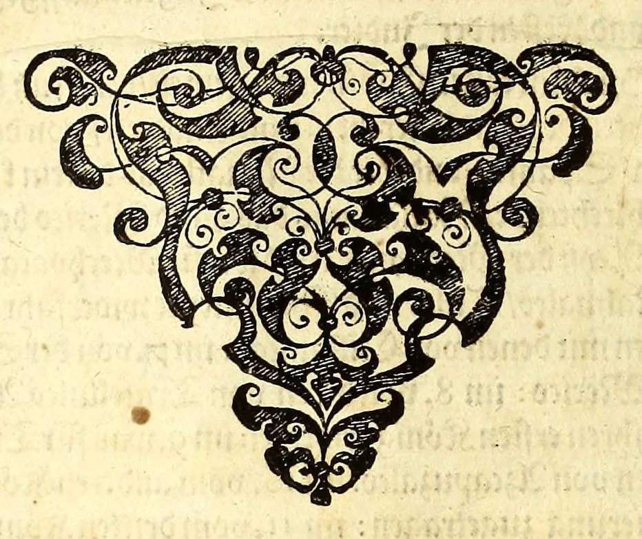 An illustration from America, oder wie mans zu teutsch nennet die Neuwe Welt, oder West Jndia., 1605, leaf 14