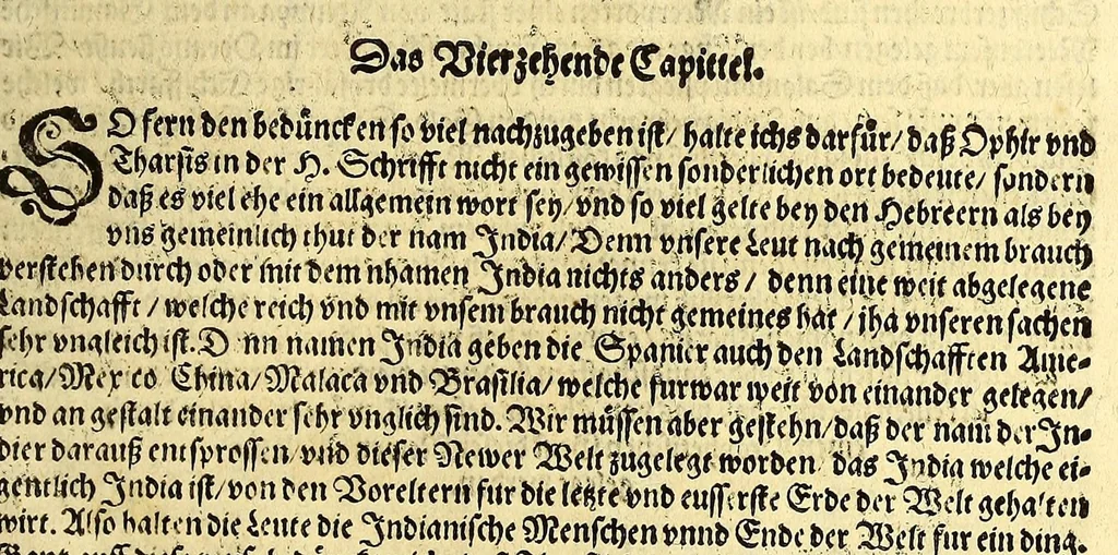 An illustration from America, oder wie mans zu teutsch nennet die Neuwe Welt, oder West Jndia., 1605, leaf 31