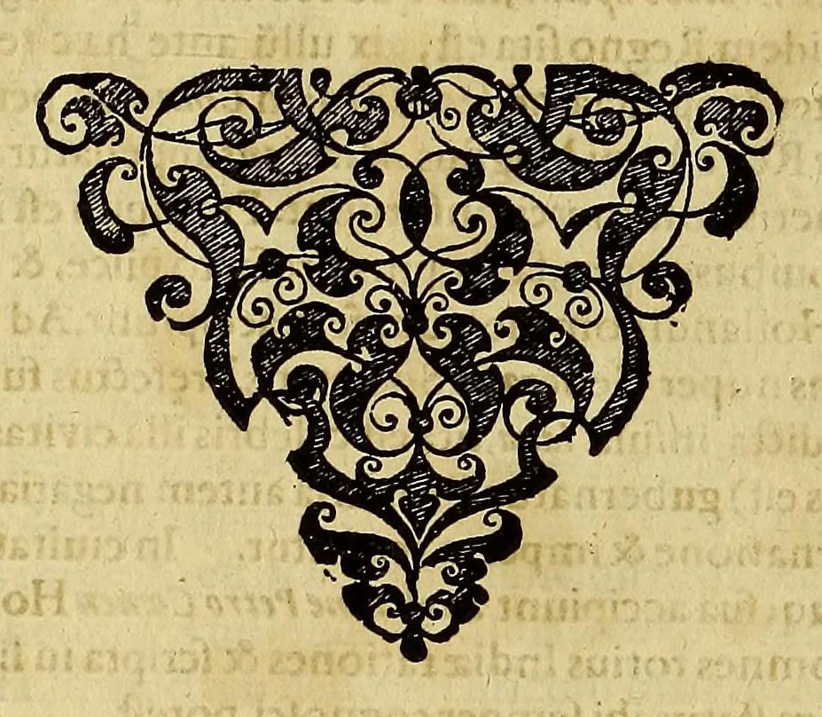 An illustration from America pars vndecima: : seu Descriptio admirandi itineris a Guillielmo Schouten Hollando peracti: qua ratione in meridionali plaga freti Magellanici novum hactenuśque incognitum in mare Australe transitum patefecerit: quas item terras, insulas, gentes, reśque mirabiles in dicto Australi Oceano obvias habuerit., 1619, leaf 118