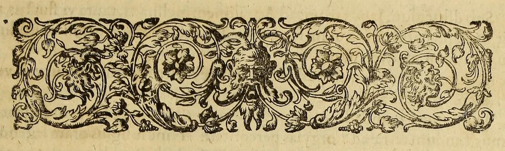 An illustration from America pars vndecima: : seu Descriptio admirandi itineris a Guillielmo Schouten Hollando peracti: qua ratione in meridionali plaga freti Magellanici novum hactenuśque incognitum in mare Australe transitum patefecerit: quas item terras, insulas, gentes, reśque mirabiles in dicto Australi Oceano obvias habuerit., 1619, leaf 17
