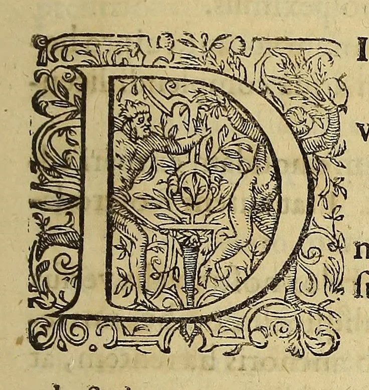 An illustration from America pars vndecima: : seu Descriptio admirandi itineris a Guillielmo Schouten Hollando peracti: qua ratione in meridionali plaga freti Magellanici novum hactenuśque incognitum in mare Australe transitum patefecerit: quas item terras, insulas, gentes, reśque mirabiles in dicto Australi Oceano obvias habuerit., 1619, leaf 17