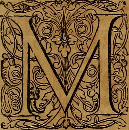 An illustration from Americæ nona & postrema pars : qua de ratione elementorum, de novi orbis natvra, de hvivs incolarvm svperstitiosis cultibus : deq; forma politiæ ac reipubl. ipsorum copiosè pertractatur : catalogo regnum Mexicanorum omnium, à primo vsq; ad vltimum Monteçuman II. additio ... : his accessit designatio illivs navigationis, quam 5. naves Hollandicae anno 1598. per fretum Magellanum in Moluccanas insulas tentarunt : quomodo nimirum oborta tempestate Capitaeus Sebalt de Weert à cæteris nauibus dispulsus, postquam plurimis mensibus in freto infinitis aerumnis miserè iactatus fuisset, tandem infectare post biennum an. 1600. domum reuersus sit : addita est tertio navigatio recens, quam 4. navium praefectus Olevier à Noort proximè suscepit ... : omnia è Germanico Latinitate donata, & insuper elegantissimis figuris æneis coornata editaq; sumptibus Theodori de Bry p.m. Viduæ & binorum filiorum, 1602, leaf 10