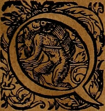An illustration from Americæ nona & postrema pars : qua de ratione elementorum, de novi orbis natvra, de hvivs incolarvm svperstitiosis cultibus : deq; forma politiæ ac reipubl. ipsorum copiosè pertractatur : catalogo regnum Mexicanorum omnium, à primo vsq; ad vltimum Monteçuman II. additio ... : his accessit designatio illivs navigationis, quam 5. naves Hollandicae anno 1598. per fretum Magellanum in Moluccanas insulas tentarunt : quomodo nimirum oborta tempestate Capitaeus Sebalt de Weert à cæteris nauibus dispulsus, postquam plurimis mensibus in freto infinitis aerumnis miserè iactatus fuisset, tandem infectare post biennum an. 1600. domum reuersus sit : addita est tertio navigatio recens, quam 4. navium praefectus Olevier à Noort proximè suscepit ... : omnia è Germanico Latinitate donata, & insuper elegantissimis figuris æneis coornata editaq; sumptibus Theodori de Bry p.m. Viduæ & binorum filiorum, 1602, leaf 100