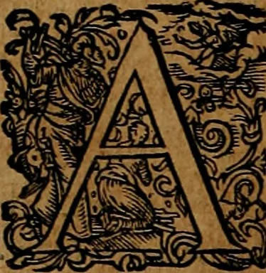 An illustration from Americæ nona & postrema pars : qua de ratione elementorum, de novi orbis natvra, de hvivs incolarvm svperstitiosis cultibus : deq; forma politiæ ac reipubl. ipsorum copiosè pertractatur : catalogo regnum Mexicanorum omnium, à primo vsq; ad vltimum Monteçuman II. additio ... : his accessit designatio illivs navigationis, quam 5. naves Hollandicae anno 1598. per fretum Magellanum in Moluccanas insulas tentarunt : quomodo nimirum oborta tempestate Capitaeus Sebalt de Weert à cæteris nauibus dispulsus, postquam plurimis mensibus in freto infinitis aerumnis miserè iactatus fuisset, tandem infectare post biennum an. 1600. domum reuersus sit : addita est tertio navigatio recens, quam 4. navium praefectus Olevier à Noort proximè suscepit ... : omnia è Germanico Latinitate donata, & insuper elegantissimis figuris æneis coornata editaq; sumptibus Theodori de Bry p.m. Viduæ & binorum filiorum, 1602, leaf 109