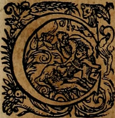 An illustration from Americæ nona & postrema pars : qua de ratione elementorum, de novi orbis natvra, de hvivs incolarvm svperstitiosis cultibus : deq; forma politiæ ac reipubl. ipsorum copiosè pertractatur : catalogo regnum Mexicanorum omnium, à primo vsq; ad vltimum Monteçuman II. additio ... : his accessit designatio illivs navigationis, quam 5. naves Hollandicae anno 1598. per fretum Magellanum in Moluccanas insulas tentarunt : quomodo nimirum oborta tempestate Capitaeus Sebalt de Weert à cæteris nauibus dispulsus, postquam plurimis mensibus in freto infinitis aerumnis miserè iactatus fuisset, tandem infectare post biennum an. 1600. domum reuersus sit : addita est tertio navigatio recens, quam 4. navium praefectus Olevier à Noort proximè suscepit ... : omnia è Germanico Latinitate donata, & insuper elegantissimis figuris æneis coornata editaq; sumptibus Theodori de Bry p.m. Viduæ & binorum filiorum, 1602, leaf 111