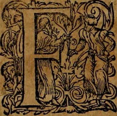 An illustration from Americæ nona & postrema pars : qua de ratione elementorum, de novi orbis natvra, de hvivs incolarvm svperstitiosis cultibus : deq; forma politiæ ac reipubl. ipsorum copiosè pertractatur : catalogo regnum Mexicanorum omnium, à primo vsq; ad vltimum Monteçuman II. additio ... : his accessit designatio illivs navigationis, quam 5. naves Hollandicae anno 1598. per fretum Magellanum in Moluccanas insulas tentarunt : quomodo nimirum oborta tempestate Capitaeus Sebalt de Weert à cæteris nauibus dispulsus, postquam plurimis mensibus in freto infinitis aerumnis miserè iactatus fuisset, tandem infectare post biennum an. 1600. domum reuersus sit : addita est tertio navigatio recens, quam 4. navium praefectus Olevier à Noort proximè suscepit ... : omnia è Germanico Latinitate donata, & insuper elegantissimis figuris æneis coornata editaq; sumptibus Theodori de Bry p.m. Viduæ & binorum filiorum, 1602, leaf 113