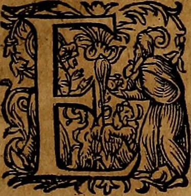 An illustration from Americæ nona & postrema pars : qua de ratione elementorum, de novi orbis natvra, de hvivs incolarvm svperstitiosis cultibus : deq; forma politiæ ac reipubl. ipsorum copiosè pertractatur : catalogo regnum Mexicanorum omnium, à primo vsq; ad vltimum Monteçuman II. additio ... : his accessit designatio illivs navigationis, quam 5. naves Hollandicae anno 1598. per fretum Magellanum in Moluccanas insulas tentarunt : quomodo nimirum oborta tempestate Capitaeus Sebalt de Weert à cæteris nauibus dispulsus, postquam plurimis mensibus in freto infinitis aerumnis miserè iactatus fuisset, tandem infectare post biennum an. 1600. domum reuersus sit : addita est tertio navigatio recens, quam 4. navium praefectus Olevier à Noort proximè suscepit ... : omnia è Germanico Latinitate donata, & insuper elegantissimis figuris æneis coornata editaq; sumptibus Theodori de Bry p.m. Viduæ & binorum filiorum, 1602, leaf 114