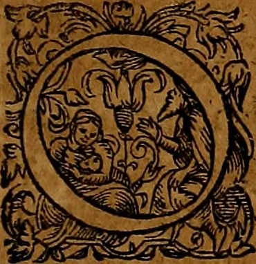 An illustration from Americæ nona & postrema pars : qua de ratione elementorum, de novi orbis natvra, de hvivs incolarvm svperstitiosis cultibus : deq; forma politiæ ac reipubl. ipsorum copiosè pertractatur : catalogo regnum Mexicanorum omnium, à primo vsq; ad vltimum Monteçuman II. additio ... : his accessit designatio illivs navigationis, quam 5. naves Hollandicae anno 1598. per fretum Magellanum in Moluccanas insulas tentarunt : quomodo nimirum oborta tempestate Capitaeus Sebalt de Weert à cæteris nauibus dispulsus, postquam plurimis mensibus in freto infinitis aerumnis miserè iactatus fuisset, tandem infectare post biennum an. 1600. domum reuersus sit : addita est tertio navigatio recens, quam 4. navium praefectus Olevier à Noort proximè suscepit ... : omnia è Germanico Latinitate donata, & insuper elegantissimis figuris æneis coornata editaq; sumptibus Theodori de Bry p.m. Viduæ & binorum filiorum, 1602, leaf 116