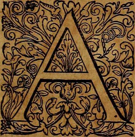 An illustration from Americæ nona & postrema pars : qua de ratione elementorum, de novi orbis natvra, de hvivs incolarvm svperstitiosis cultibus : deq; forma politiæ ac reipubl. ipsorum copiosè pertractatur : catalogo regnum Mexicanorum omnium, à primo vsq; ad vltimum Monteçuman II. additio ... : his accessit designatio illivs navigationis, quam 5. naves Hollandicae anno 1598. per fretum Magellanum in Moluccanas insulas tentarunt : quomodo nimirum oborta tempestate Capitaeus Sebalt de Weert à cæteris nauibus dispulsus, postquam plurimis mensibus in freto infinitis aerumnis miserè iactatus fuisset, tandem infectare post biennum an. 1600. domum reuersus sit : addita est tertio navigatio recens, quam 4. navium praefectus Olevier à Noort proximè suscepit ... : omnia è Germanico Latinitate donata, & insuper elegantissimis figuris æneis coornata editaq; sumptibus Theodori de Bry p.m. Viduæ & binorum filiorum, 1602, leaf 12