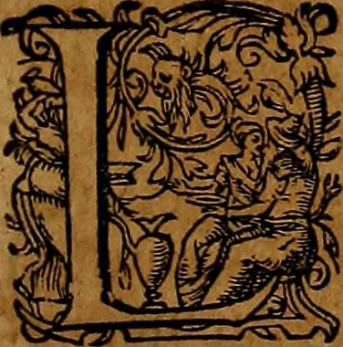 An illustration from Americæ nona & postrema pars : qua de ratione elementorum, de novi orbis natvra, de hvivs incolarvm svperstitiosis cultibus : deq; forma politiæ ac reipubl. ipsorum copiosè pertractatur : catalogo regnum Mexicanorum omnium, à primo vsq; ad vltimum Monteçuman II. additio ... : his accessit designatio illivs navigationis, quam 5. naves Hollandicae anno 1598. per fretum Magellanum in Moluccanas insulas tentarunt : quomodo nimirum oborta tempestate Capitaeus Sebalt de Weert à cæteris nauibus dispulsus, postquam plurimis mensibus in freto infinitis aerumnis miserè iactatus fuisset, tandem infectare post biennum an. 1600. domum reuersus sit : addita est tertio navigatio recens, quam 4. navium praefectus Olevier à Noort proximè suscepit ... : omnia è Germanico Latinitate donata, & insuper elegantissimis figuris æneis coornata editaq; sumptibus Theodori de Bry p.m. Viduæ & binorum filiorum, 1602, leaf 120