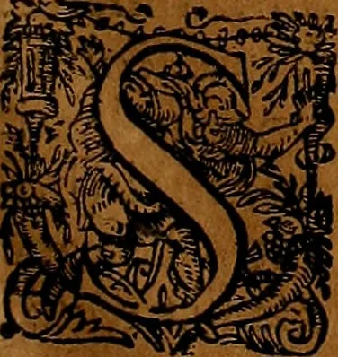 An illustration from Americæ nona & postrema pars : qua de ratione elementorum, de novi orbis natvra, de hvivs incolarvm svperstitiosis cultibus : deq; forma politiæ ac reipubl. ipsorum copiosè pertractatur : catalogo regnum Mexicanorum omnium, à primo vsq; ad vltimum Monteçuman II. additio ... : his accessit designatio illivs navigationis, quam 5. naves Hollandicae anno 1598. per fretum Magellanum in Moluccanas insulas tentarunt : quomodo nimirum oborta tempestate Capitaeus Sebalt de Weert à cæteris nauibus dispulsus, postquam plurimis mensibus in freto infinitis aerumnis miserè iactatus fuisset, tandem infectare post biennum an. 1600. domum reuersus sit : addita est tertio navigatio recens, quam 4. navium praefectus Olevier à Noort proximè suscepit ... : omnia è Germanico Latinitate donata, & insuper elegantissimis figuris æneis coornata editaq; sumptibus Theodori de Bry p.m. Viduæ & binorum filiorum, 1602, leaf 122