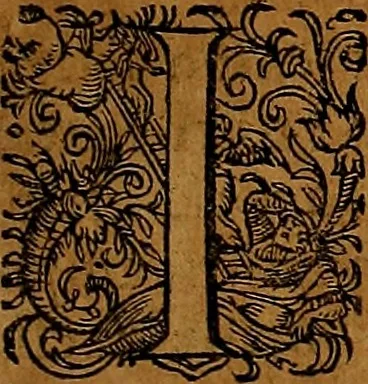 An illustration from Americæ nona & postrema pars : qua de ratione elementorum, de novi orbis natvra, de hvivs incolarvm svperstitiosis cultibus : deq; forma politiæ ac reipubl. ipsorum copiosè pertractatur : catalogo regnum Mexicanorum omnium, à primo vsq; ad vltimum Monteçuman II. additio ... : his accessit designatio illivs navigationis, quam 5. naves Hollandicae anno 1598. per fretum Magellanum in Moluccanas insulas tentarunt : quomodo nimirum oborta tempestate Capitaeus Sebalt de Weert à cæteris nauibus dispulsus, postquam plurimis mensibus in freto infinitis aerumnis miserè iactatus fuisset, tandem infectare post biennum an. 1600. domum reuersus sit : addita est tertio navigatio recens, quam 4. navium praefectus Olevier à Noort proximè suscepit ... : omnia è Germanico Latinitate donata, & insuper elegantissimis figuris æneis coornata editaq; sumptibus Theodori de Bry p.m. Viduæ & binorum filiorum, 1602, leaf 124